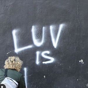 Meet your Posher, Owen